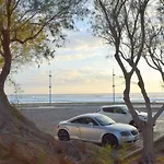 Ocean Dreams - By The Harbour Couette-café