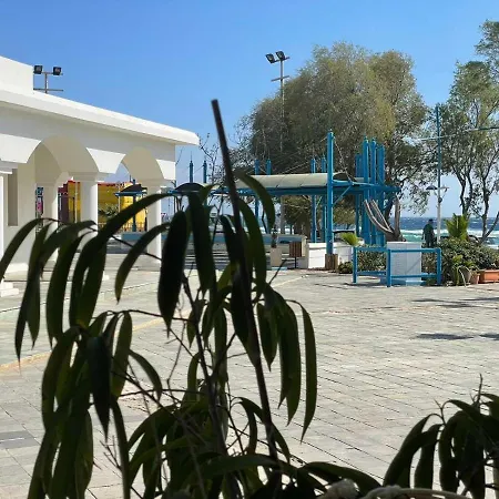 Ocean Dreams - By The Harbour