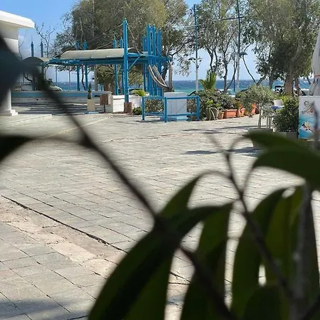 Ocean Dreams - By The Harbour Bed and breakfast