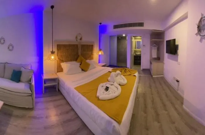 Ocean Dreams - By The Harbour Bed & Breakfast